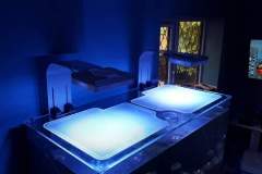 FB_IMG_1536741586817