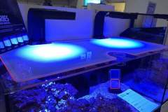 FB_IMG_1538921187990