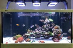 IMG-20190220-WA0002-1