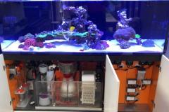 IMG-20190428-WA0006-1