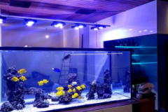 Screenshot-2021-04-05-204127