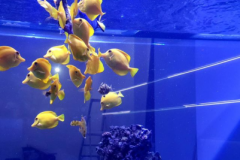 Screenshot-2021-04-05-204146