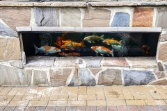 107805821_3296400933711519_37520253032761232_o